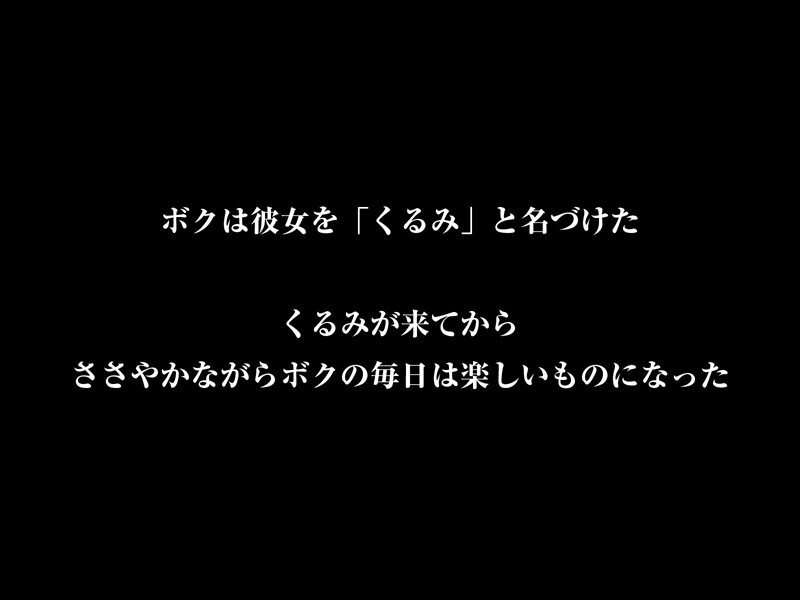 【VR】【8KVR】DOLL 性処理専用愛玩人形 夢なら夢のままでいて欲しい…独りよがりなボクと無抵抗なさくらの夢のような日常 胡桃さくら 画像11