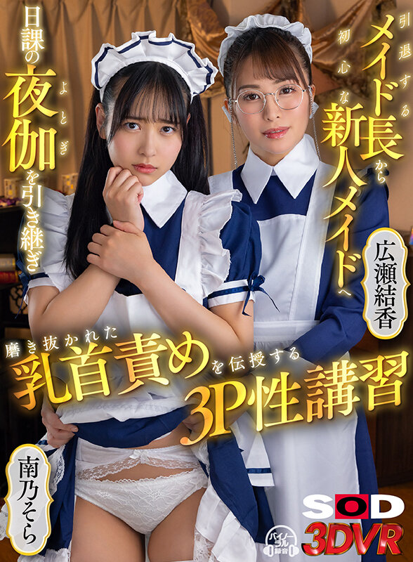 【VR】引退するメイド長から初心な新人メイドへ 日課の夜伽を引き継ぎ 磨き抜かれた乳首責めを伝授する3P性講習 画像1